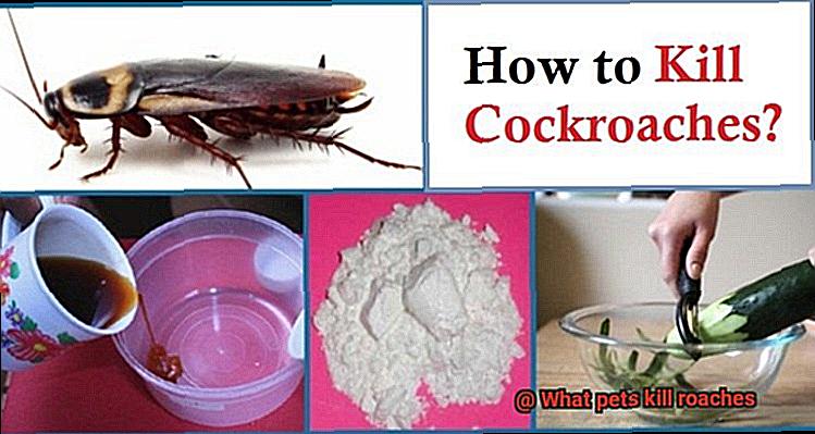 What pets kill roaches-4