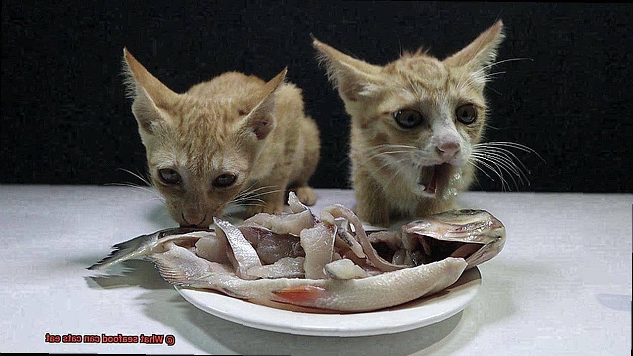 What Seafood Can Cats Eat 21Cats