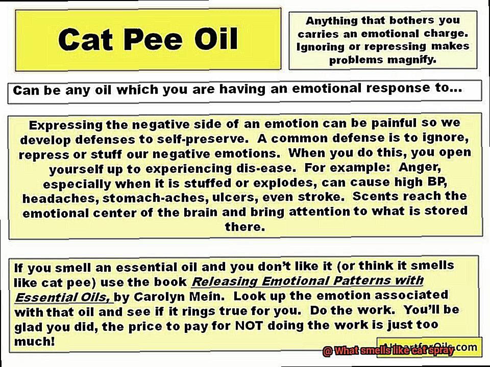 What smells like cat spray-2