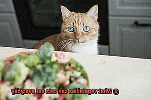 What vegetables can cats eat everyday-4
