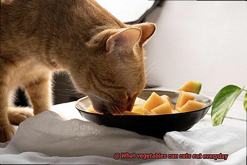 What vegetables can cats eat everyday-2