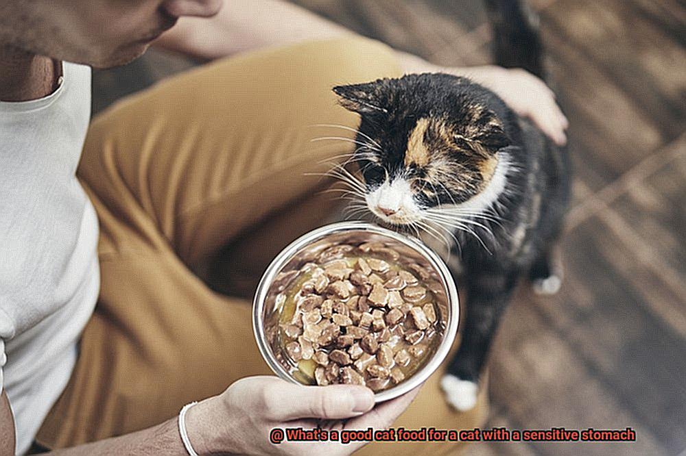 What's a good cat food for a cat with a sensitive stomach-3