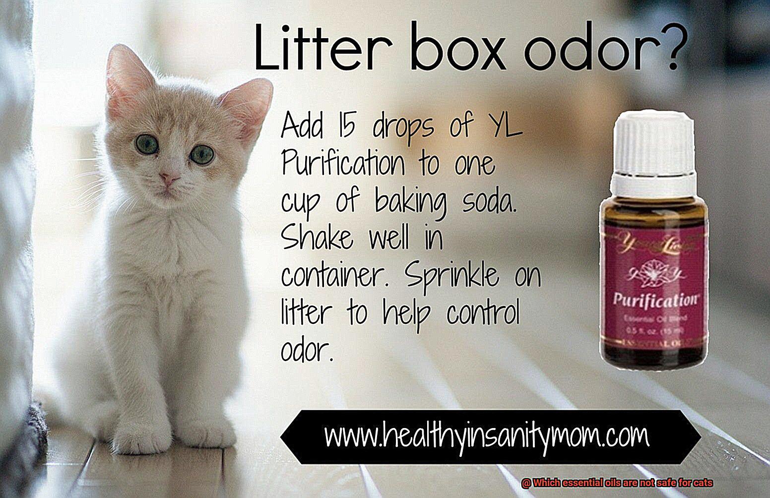 Which essential oils are not safe for cats-4