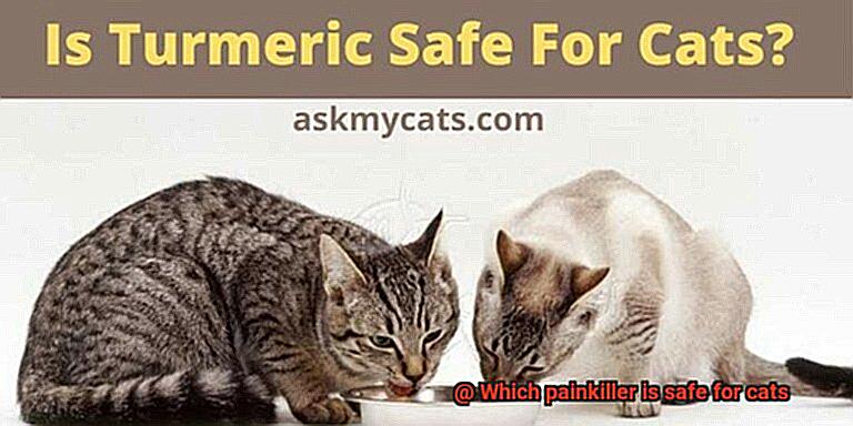 Which painkiller is safe for cats-2