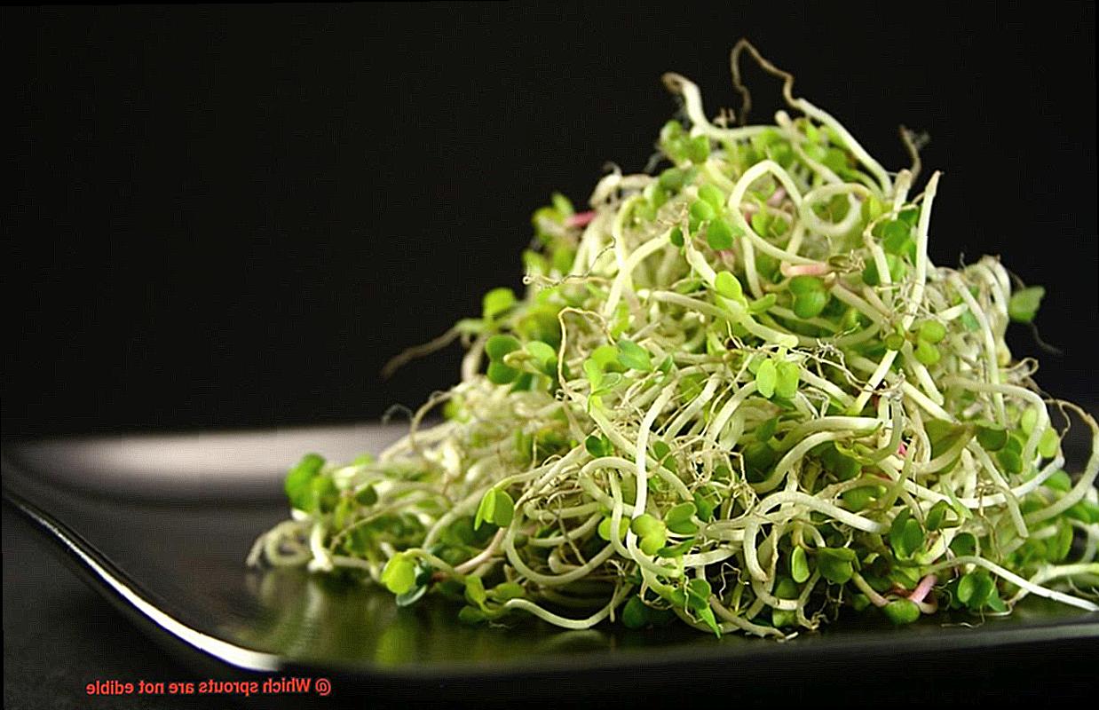 Which sprouts are not edible-2