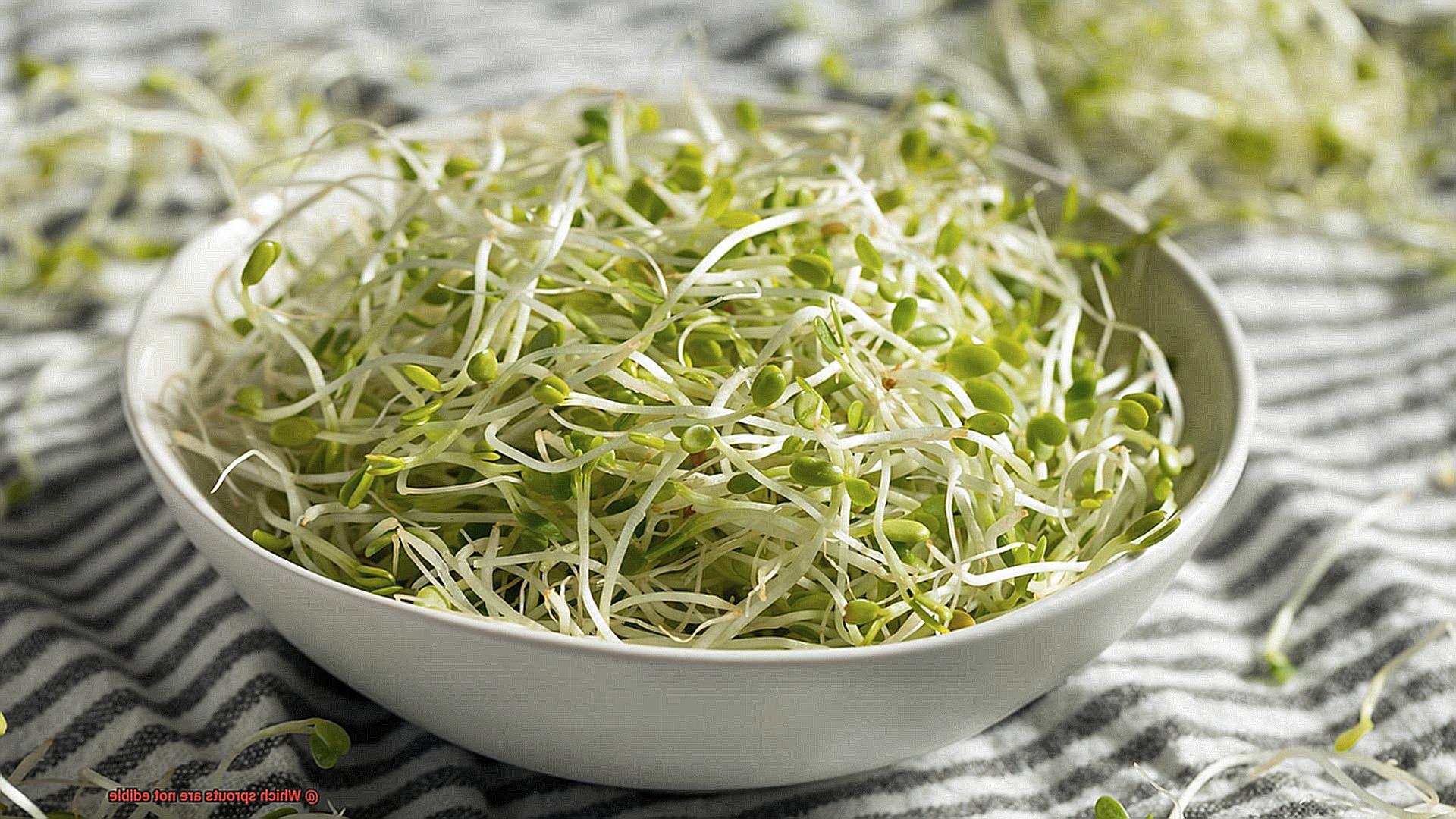 Which sprouts are not edible-3