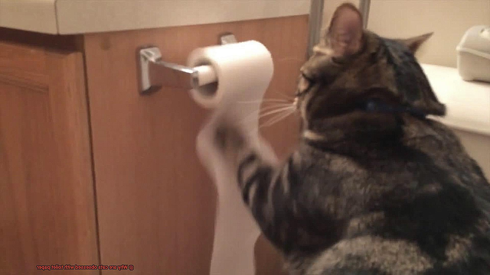 Why are cats obsessed with toilet paper-2