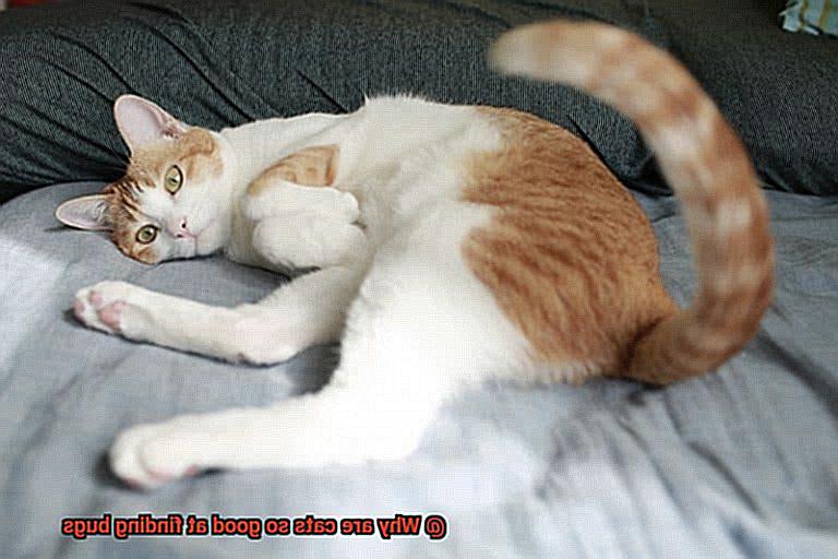 Why are cats so good at finding bugs-4