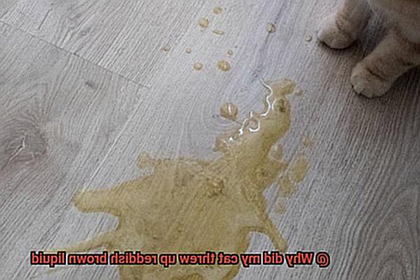 Why did my cat threw up reddish brown liquid-2