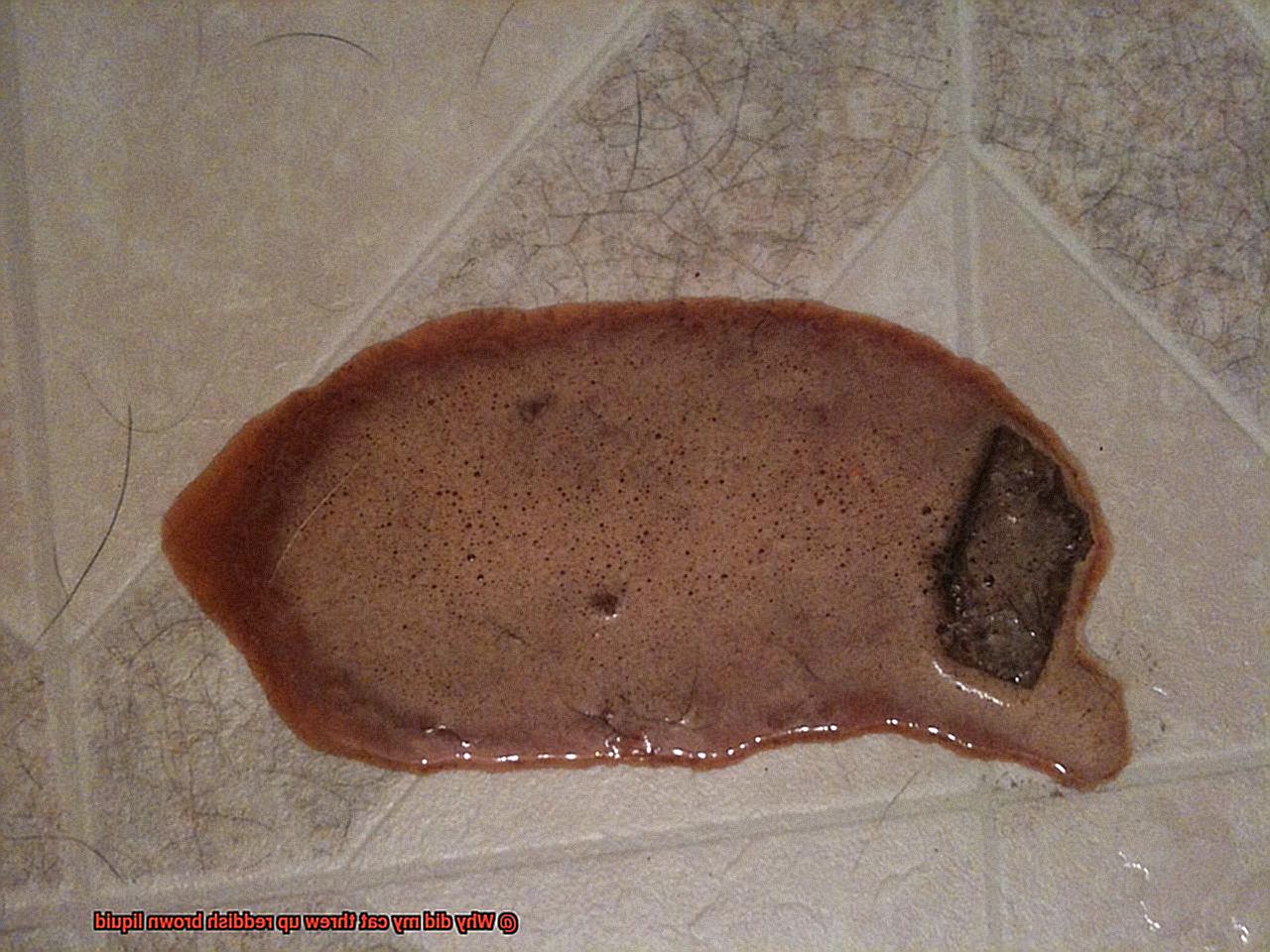 Why did my cat threw up reddish brown liquid-3