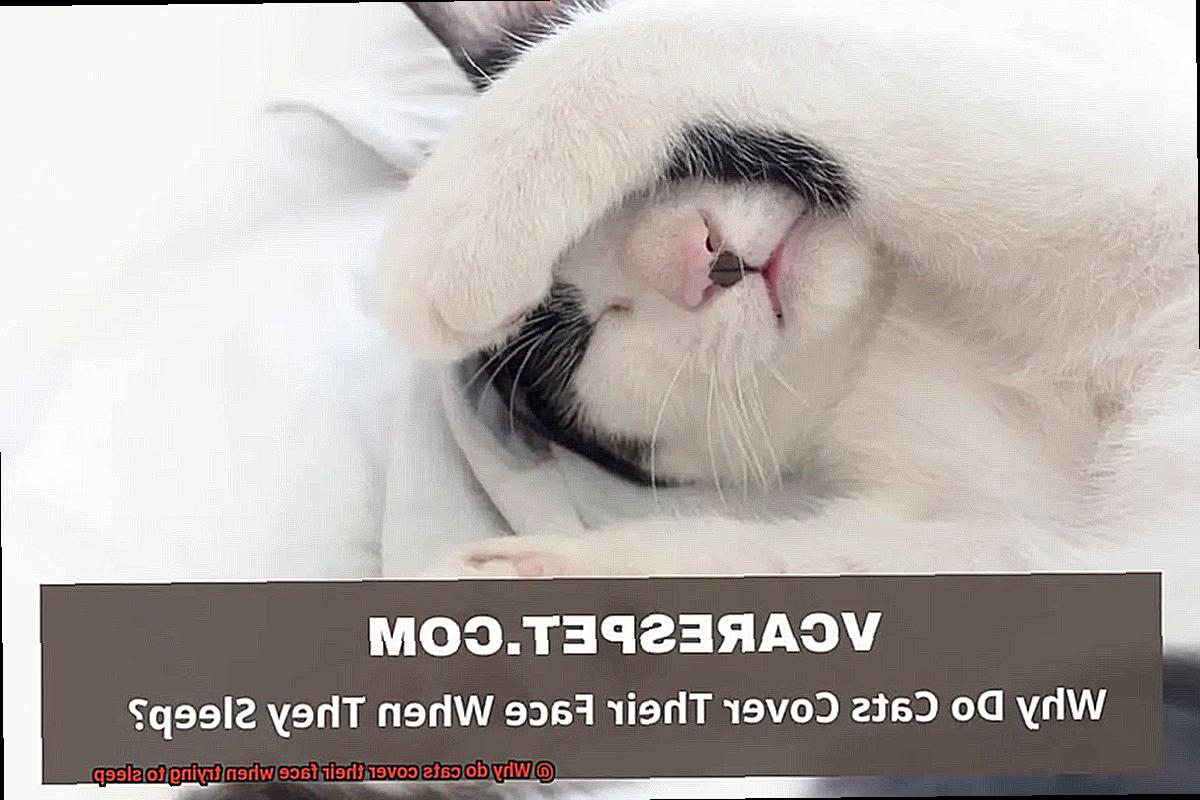 Why do cats cover their face when trying to sleep-2