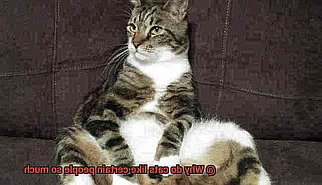 Why do cats like certain people so much-3