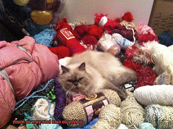 Why do cats love yarn so much-2