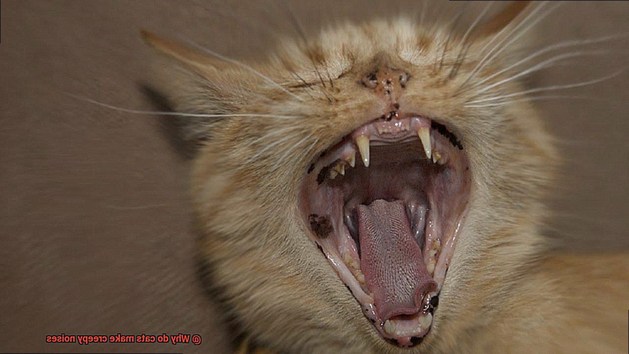 Why do cats make creepy noises-3