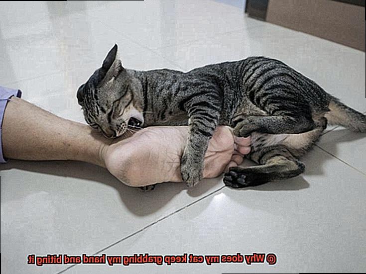 Why does my cat keep grabbing my hand and biting it-4