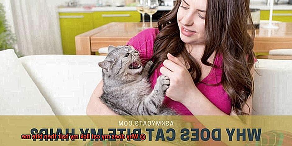 Why does my cat lick my hair then bite me-3