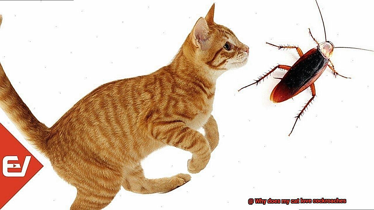 Why does my cat love cockroaches-2