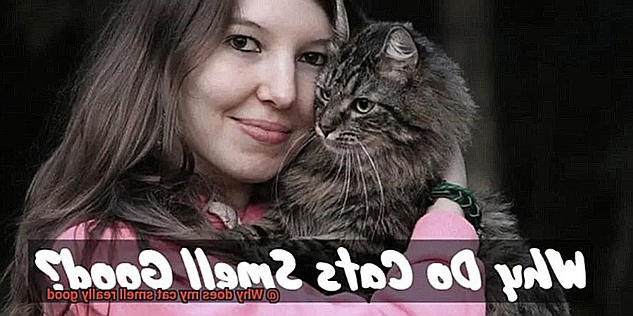 Why does my cat smell really good-2