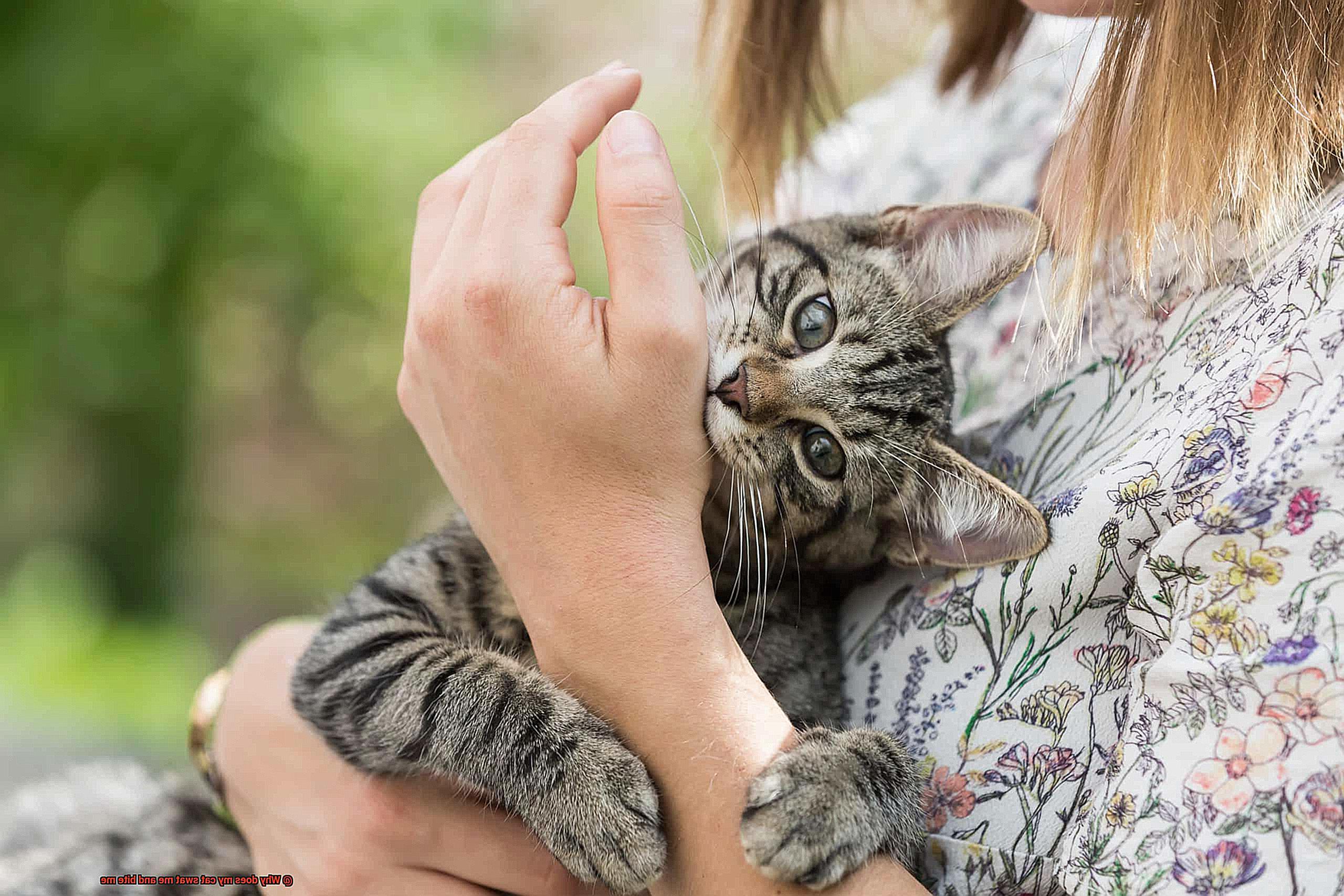 Why does my cat swat me and bite me-2