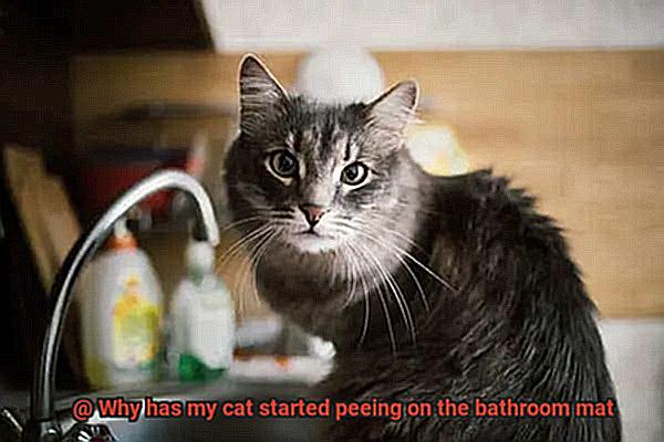 Why has my cat started peeing on the bathroom mat-5