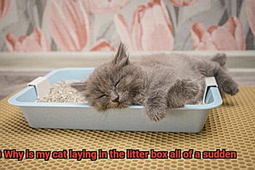Why is my cat laying in the litter box all of a sudden-3