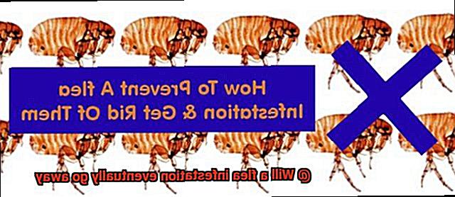 Will a flea infestation eventually go away-3