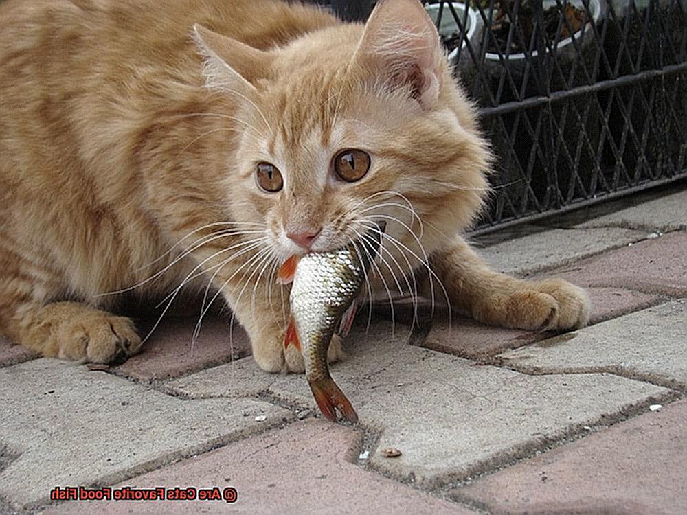 Are Cats Favorite Food Fish-2