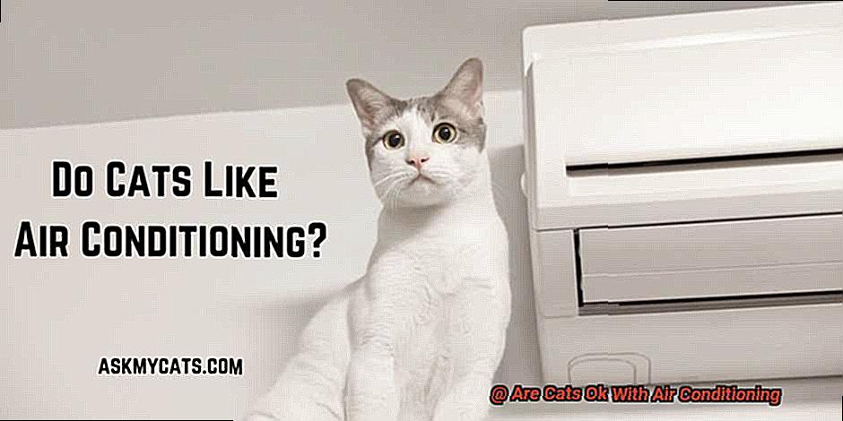 Are Cats Ok With Air Conditioning-2
