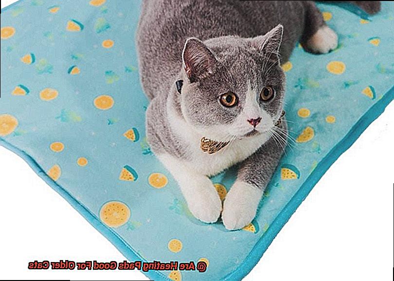 Are Heating Pads Good For Older Cats-2