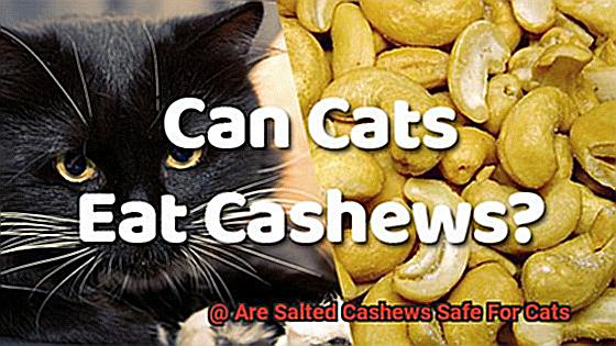 Are Salted Cashews Safe For Cats-2
