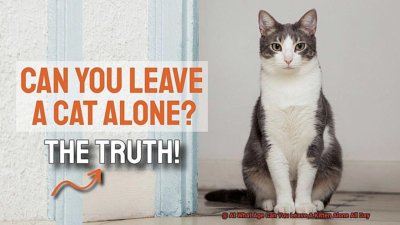 At What Age Can You Leave A Kitten Alone All Day-2