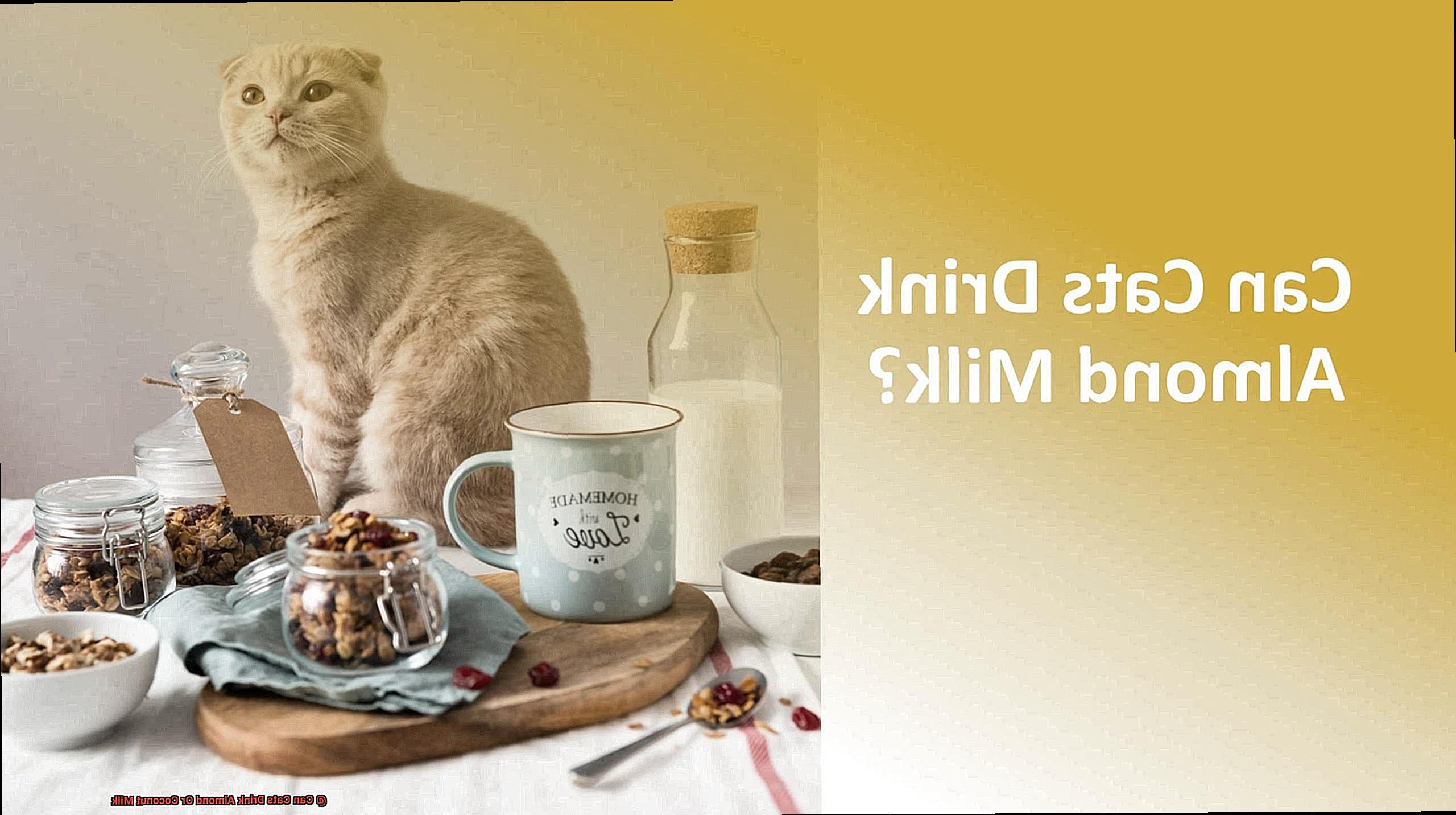 Can Cats Drink Almond Or Coconut Milk-2