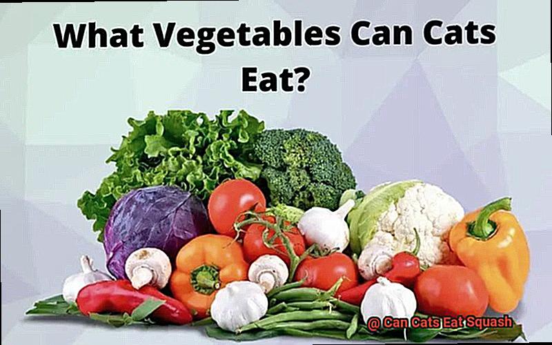 Can Cats Eat Squash-3