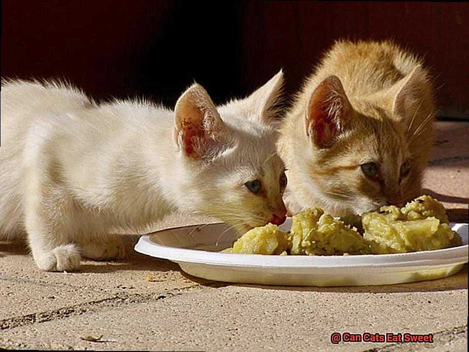 Can Cats Eat Sweet-2