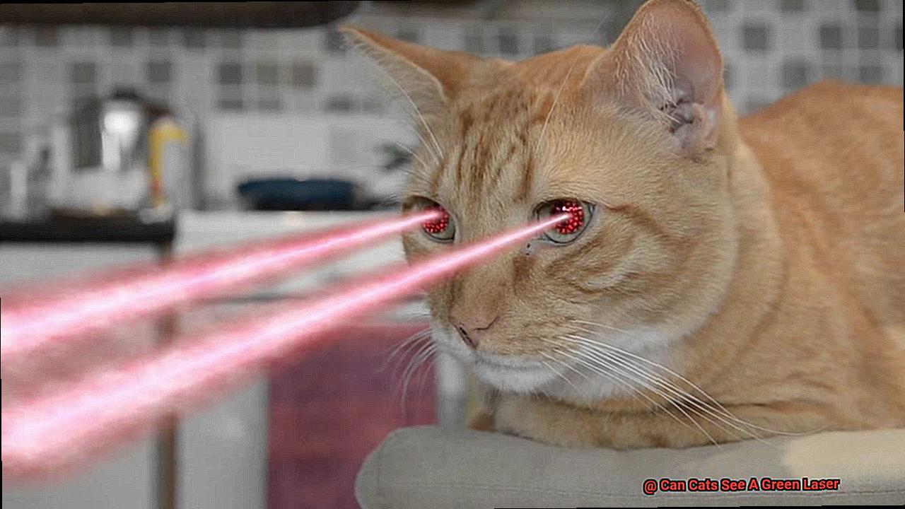 Can Cats See A Green Laser-2