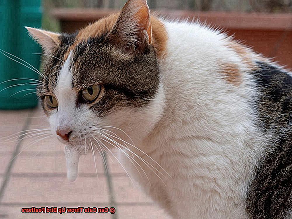 Can Cats Throw Up Bird Feathers-2