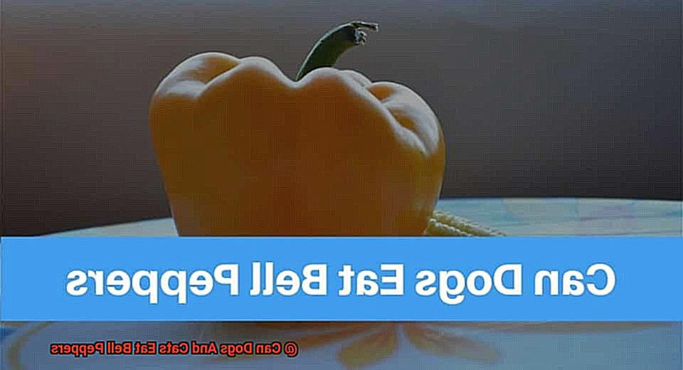 Can Dogs And Cats Eat Bell Peppers? Can Dogs And Cats Eat Bell Peppers-2