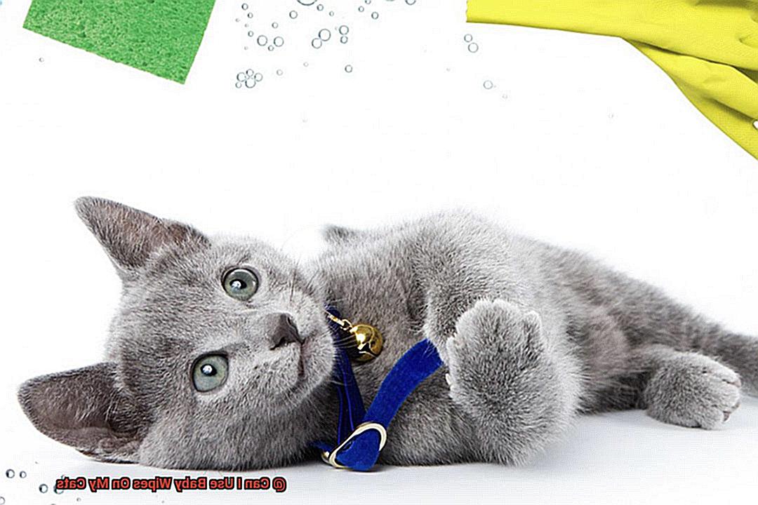 Can I Use Baby Wipes On My Cats-2