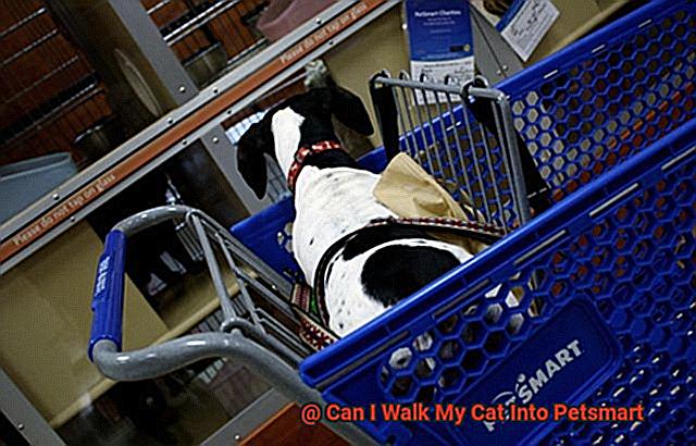 Can I Walk My Cat Into Petsmart-2