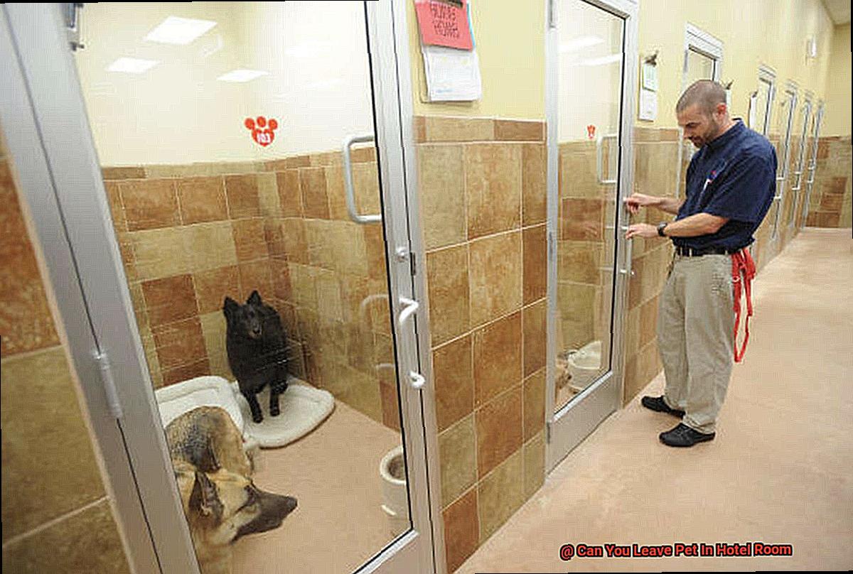 Can You Leave Pet In Hotel Room-2
