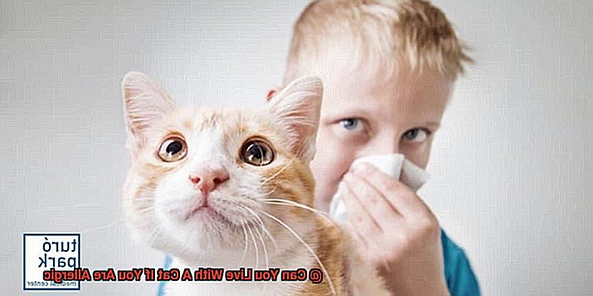 Can You Live With A Cat If You Are Allergic-2