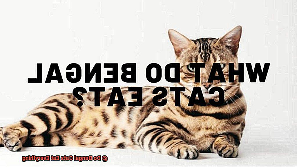 Do Bengal Cats Eat Everything-2