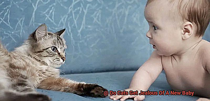 Do Cats Get Jealous Of A New Baby-2