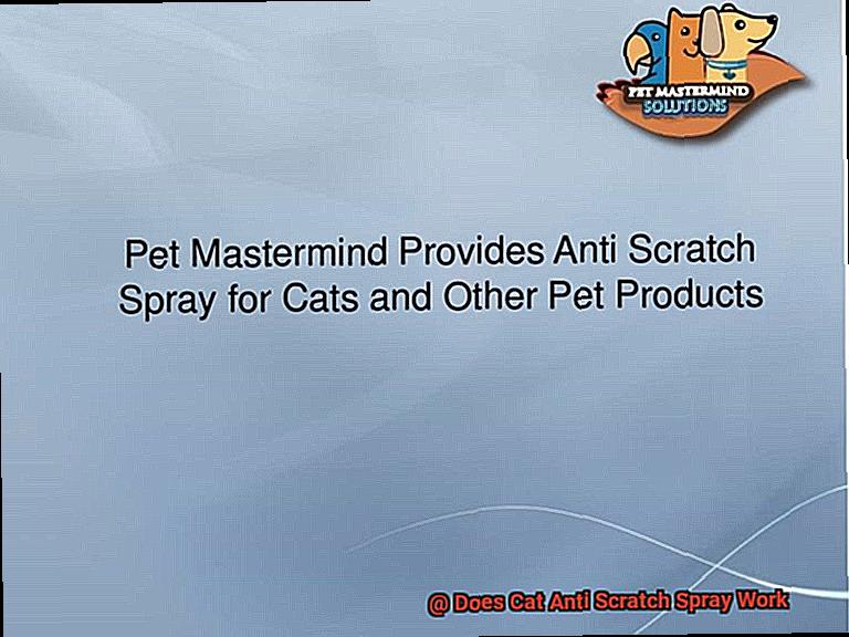 Does Cat Anti Scratch Spray Work-2