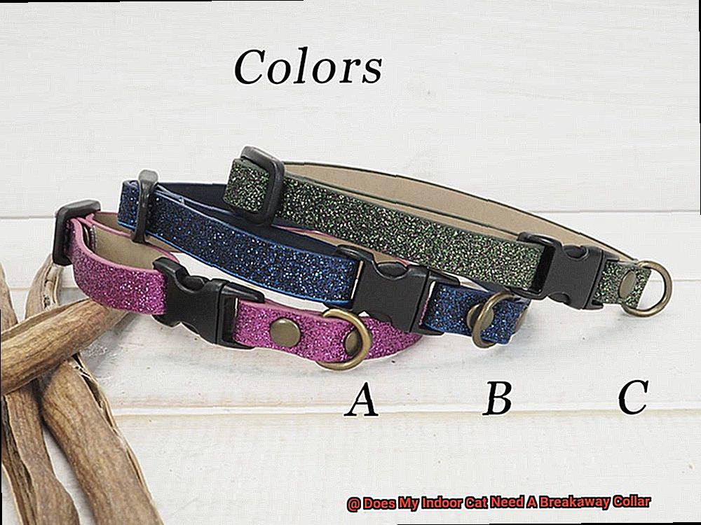 Does My Indoor Cat Need A Breakaway Collar-2