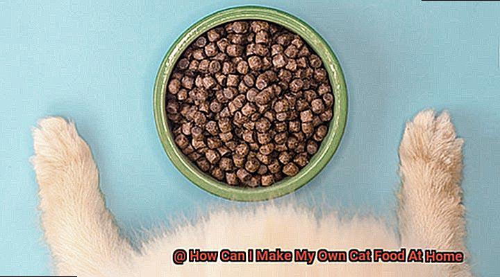How Can I Make My Own Cat Food At Home-2