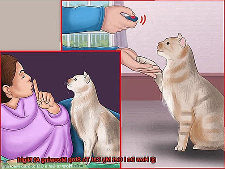 How Do I Get My Cat To Stop Meowing At Night-2