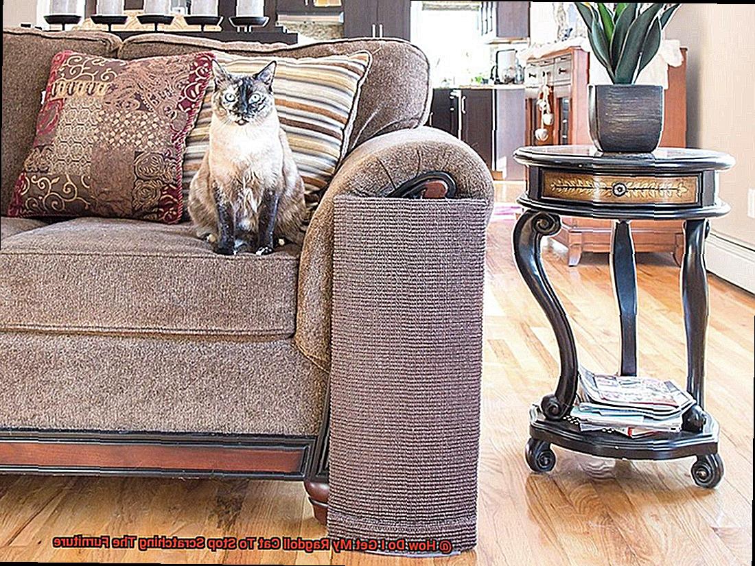 How Do I Get My Ragdoll Cat To Stop Scratching The Furniture-2