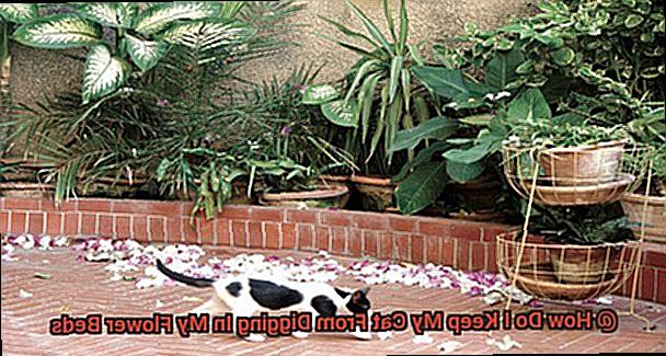 How Do I Keep My Cat From Digging In My Flower Beds-2