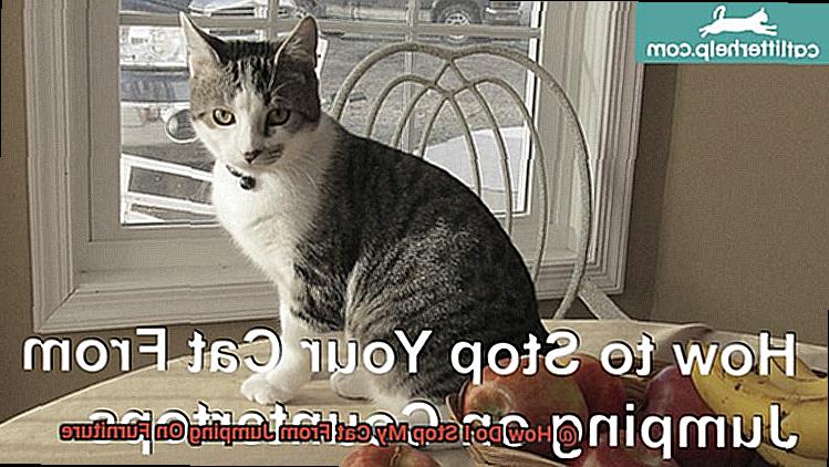 How Do I Stop My Cat From Jumping On Furniture-2